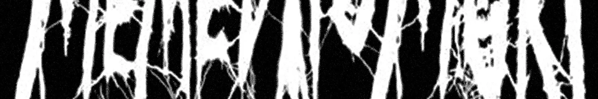 Memento Mori Label каналынын баннери