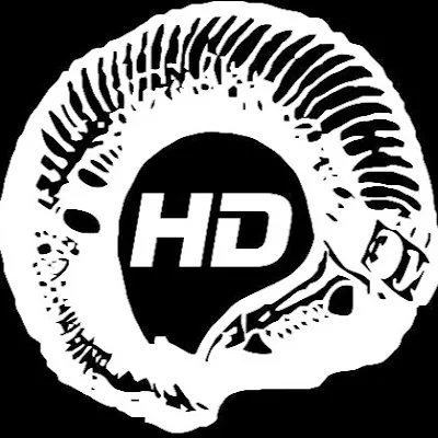 WormHoleDeath