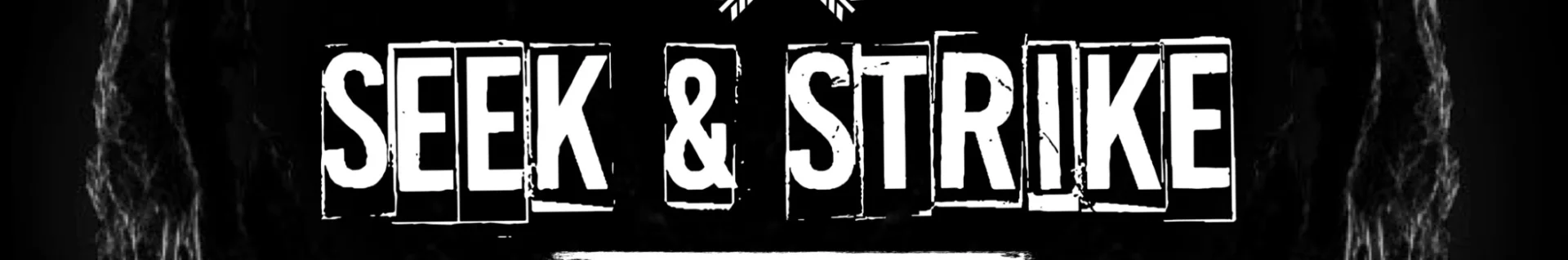 Seek & Strike channel banner