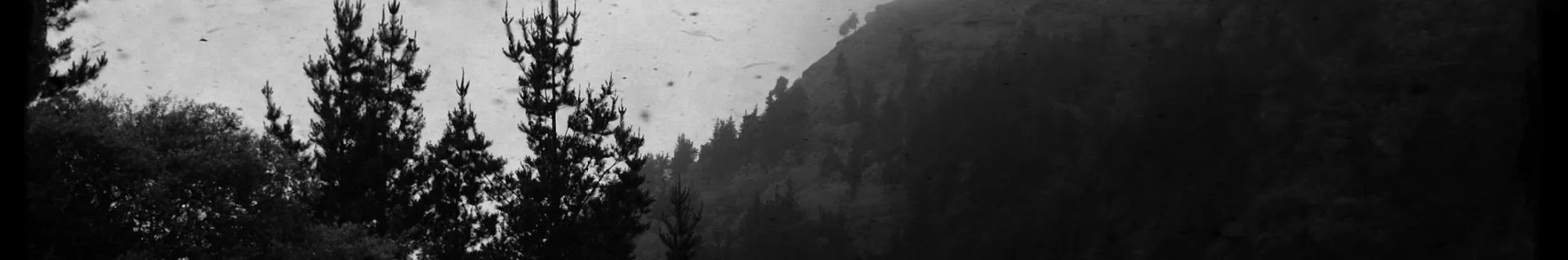Banner do canal Morbid Shrine Productions